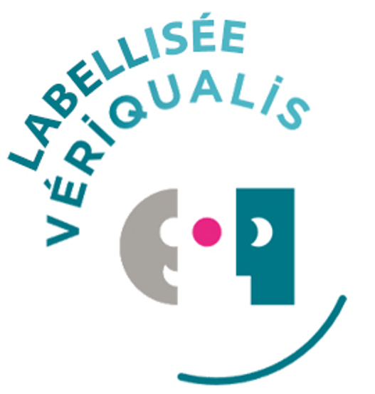 coach linguistique lille